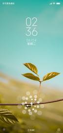 绿芽