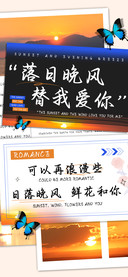 落日晚风替我爱你