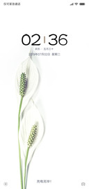 百年好合