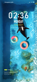 Cetacean