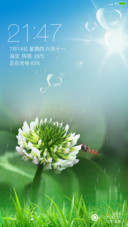 白车轴草【下雨特效+音乐锁屏】