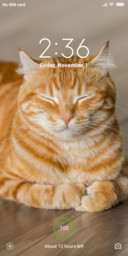 Official MIUI Theme_9