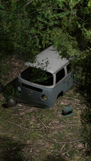 the car in forest