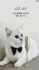 可爱猫咪（音乐锁屏+全图标）