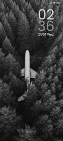 Forest Plane