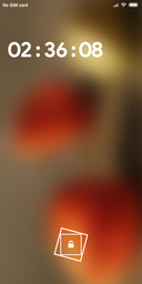 ORRANGE_DWM2
