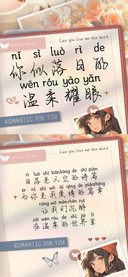 你似落日的温柔耀眼