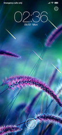 Grass