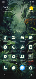 rainforest toucan