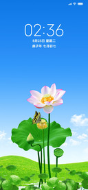 唯美荷花