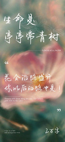 生命是亭亭常青树