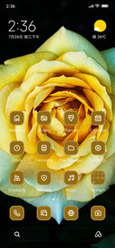 Petaled Flower
