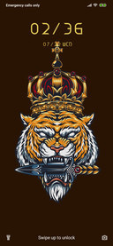 Tiger Face_3MDS