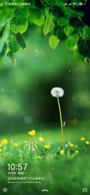 绿色芳草地