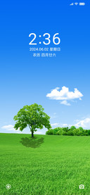 静美夏意