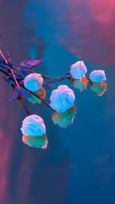 Romantic bouquet-01