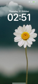 Flowers Project