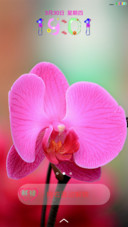 小小兰花情