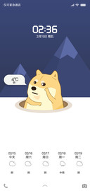 doge