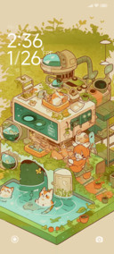 Cat pool