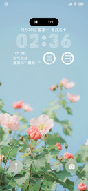 待花开