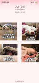 小猪的猪生G