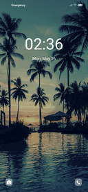 Beach coconut tree