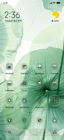 Green Lotus Leaf