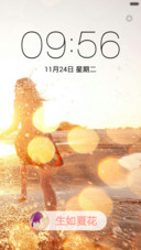 生如夏花（标准版）