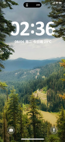 灵动景深
