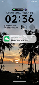 ins氛围绝美椰林