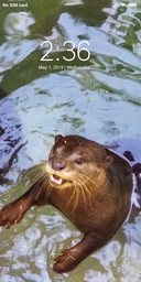 Animal Planet_DWM2
