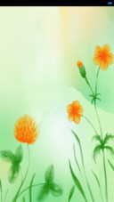 小清新