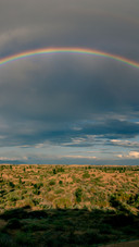 Rainbow scene in the field after the rain