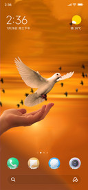 Free_DWM19