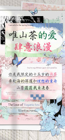 唯山茶的爱肆意浪漫