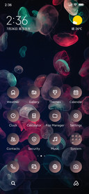 Dark Jellyfish