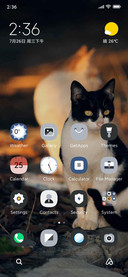 Little Black Cat