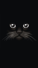 Cute cartoon cat