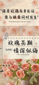 玫瑰花期情深似海