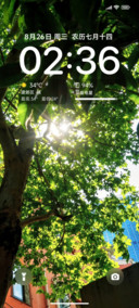 护眼叶隙寻光