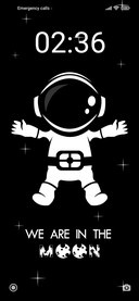 THE MOON