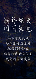 新年烟火闪闪发光