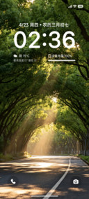 清新简约树影栖光
