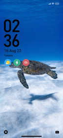 Turtle