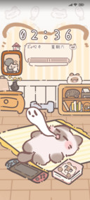 团团猫小窝