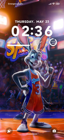 Basketball rabbit