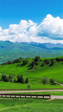 The national grassland has entered a period of appearance