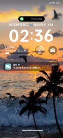 日落氛围椰林