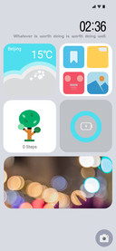 future miui